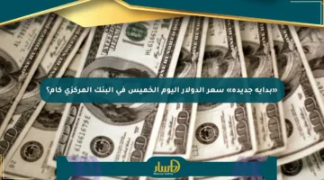 «بداية جديدة» سعر الدولار اليوم الخميس في البنك المركزي كام؟